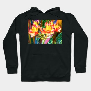 Alstroemeria Peruvian Lily Flowers Hoodie